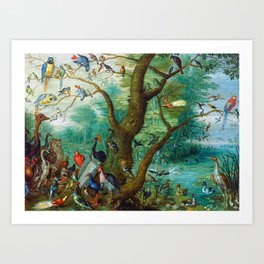 Jan van Kessel - Concert of birds Art Print | Painting, Oil, Digital 