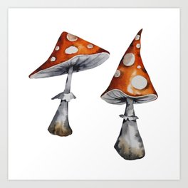 Amanita mushrooms. Watercolor drawing of mushrooms on a white background. Art Print