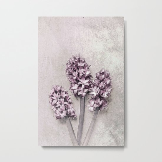 Delicate Hyacinths Metal Print