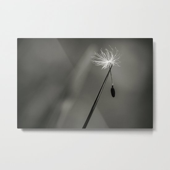 drifting by Metal Print