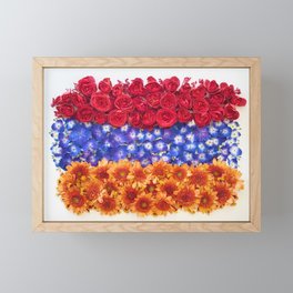 Armenia Framed Mini Art Print