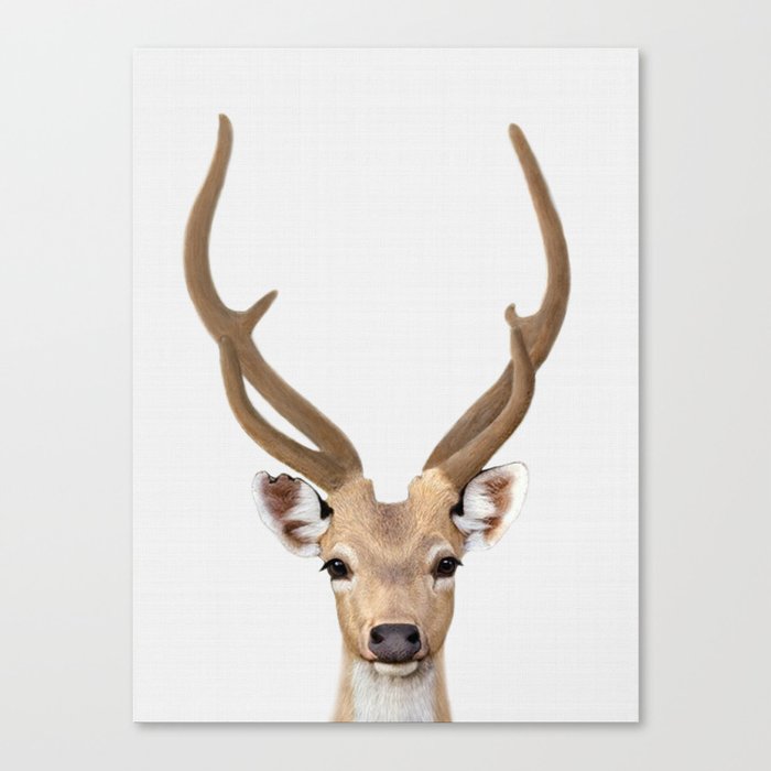 Wildlife Print Deer Canvas Animals Wall Art Wildlife Wall Art Animals Canvas Deer Print Animals Print Wildlife Canvas Deer Wall Art Art Collectibles Giclee Delage Com Br