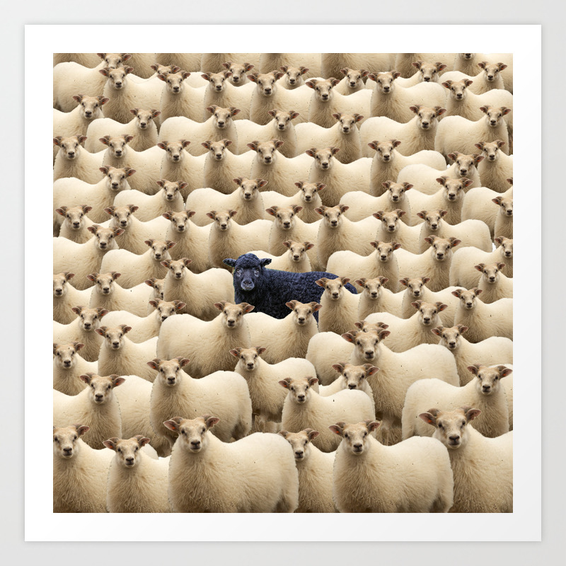 Black Sheep Art Print By Milicatepavac Society6