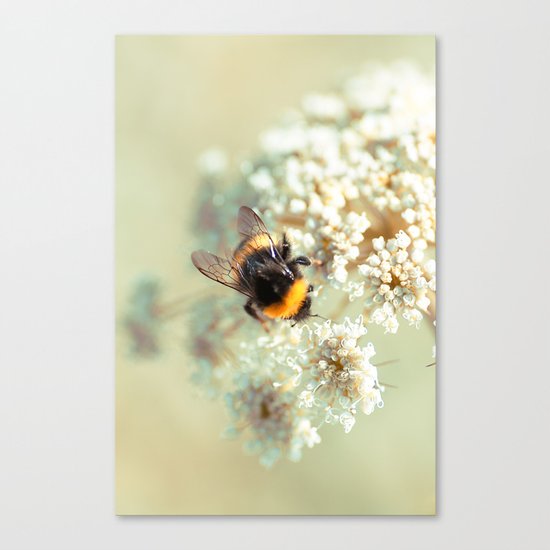 Bumblebee. Canvas Print