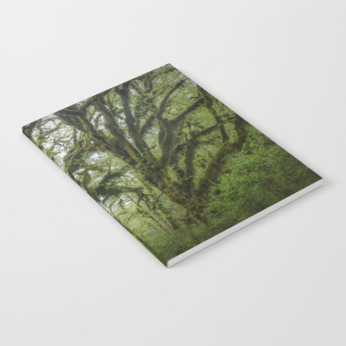 Mystic Woods Notebook