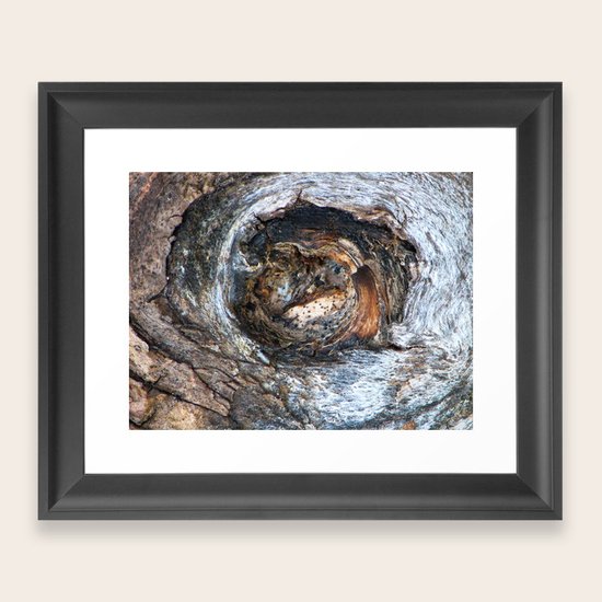 bark Framed Art Print
