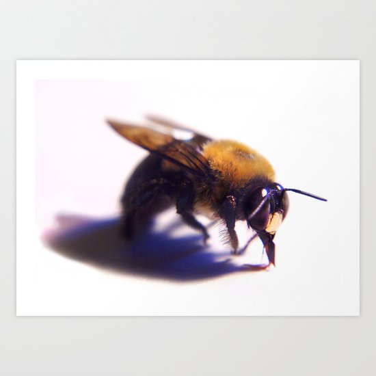 Bee Art Print