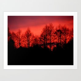 Trees at sunset Art Print