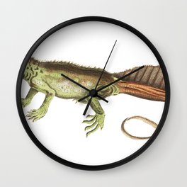 Amboina Lizard or Long-Tailed Variegeted Lizard Wall Clock