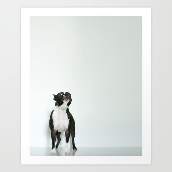 The Howler Art Print