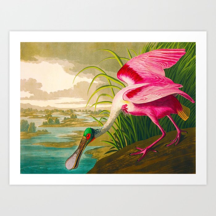Art Print