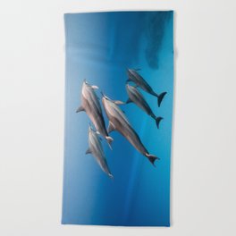 Dolphin Squad Beach Towel