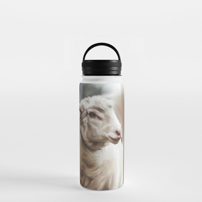 Irish Sheep Water Bottle