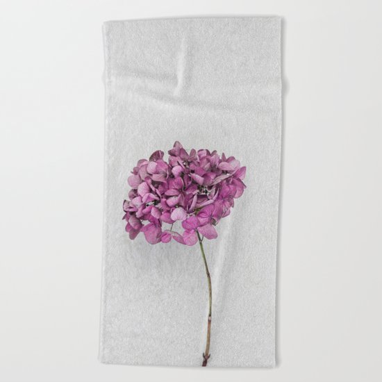Pink Dried Hydrangea Beach Towel