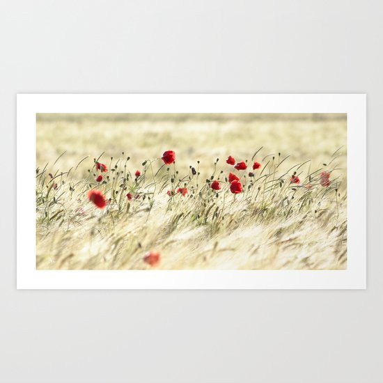 A POPPY POEM Art Print