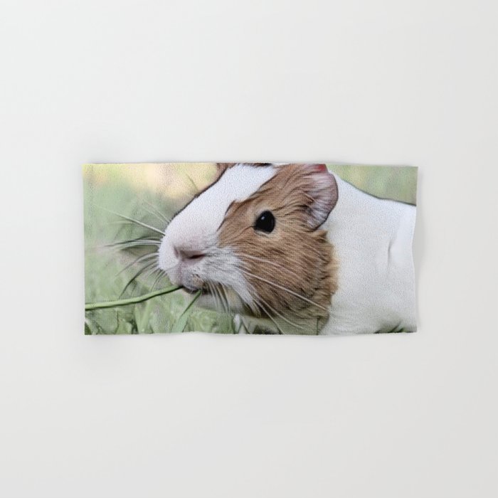 Impressive Animal Guinea Pig Hand Bath Towel By Jamcolorsspecial Society6 Guinea Pig Hand Bath Towel By, Can You Use Microfiber Towels For Guinea Pig Bedding