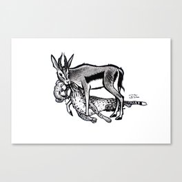 Gazelle, King of jungle Canvas Print