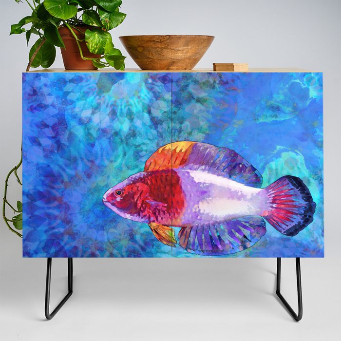 Colorful Tropical Wrasse Fish Art - Sea Fairy Credenza