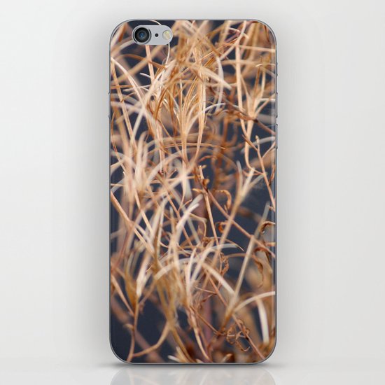Dry Grass iPhone & iPod Skin