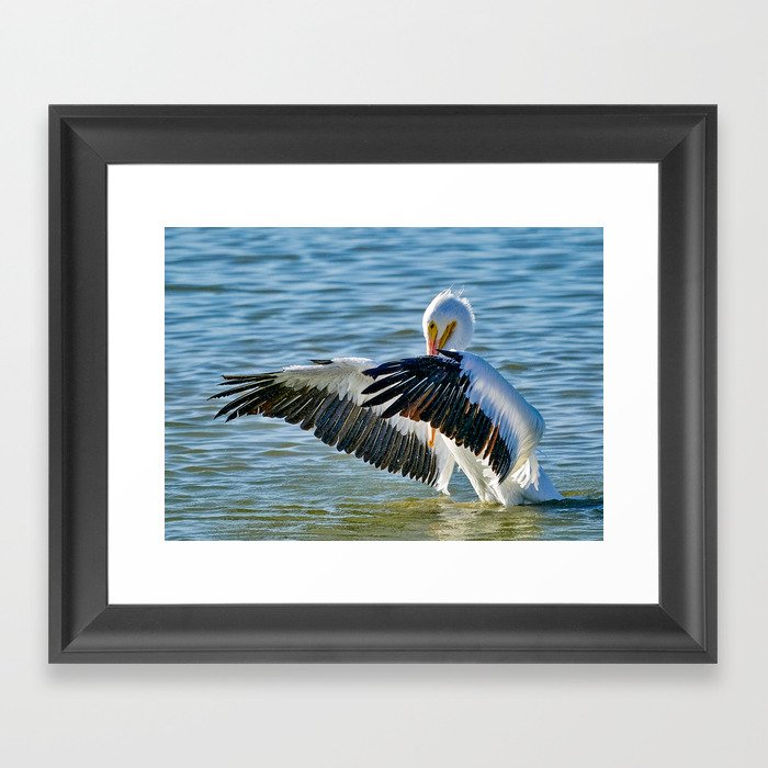 Evening bath with a Pelican Framed Art Print