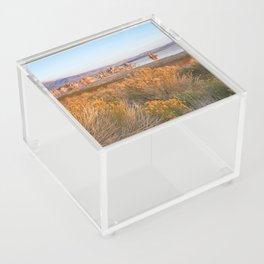 Mono Shore with Rabbitbrush Acrylic Box