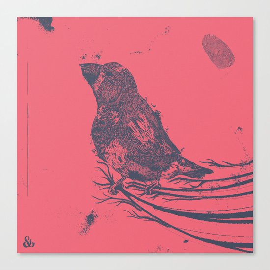 Finch Origin of Species Canvas Print