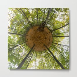 Le bois de Vincennes à l'automne // The forest of Vincennes in autumn Metal Print