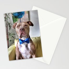 Bean in a bowtie Stationery Cards