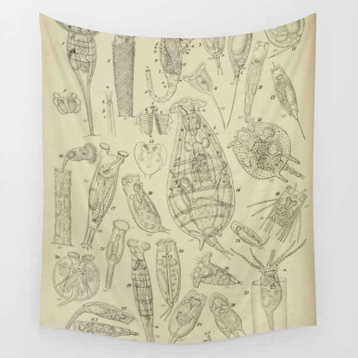 Biology tapestry sales