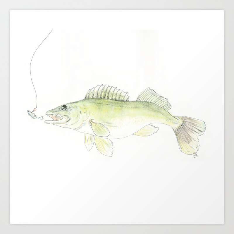 Walleye Art Print By Bonniekerkowich Society6,Step By Step Dog Tricks
