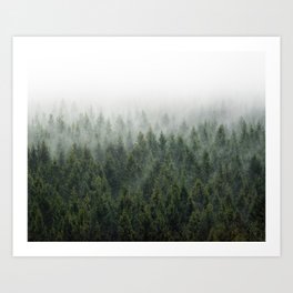 For Now I Am Summer //  Misty Milky Moody Summer Fairytale Wilderness Forest With Cascadia Trees Covered In Magic Fog  Art Print