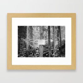 Into the Wild  Framed Art Print