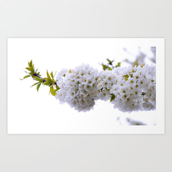spring mode on Art Print