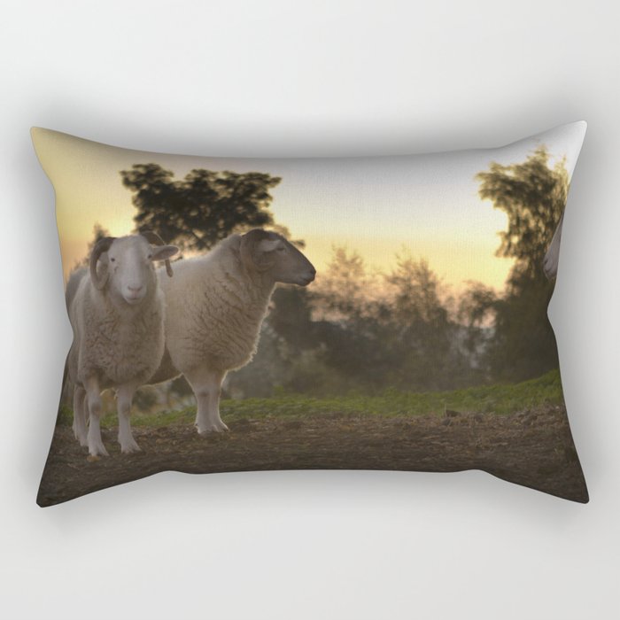 Evening on a countryside Rectangular Pillow