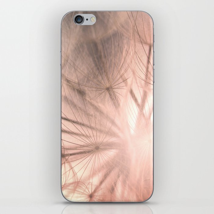 Pink Dandelion Macro Nature Photography Art and Apparel iPhone Skin