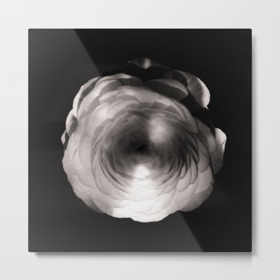Mapplethorpe Ass Flower Metal Print