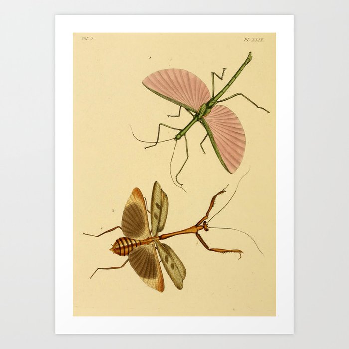 Art Print