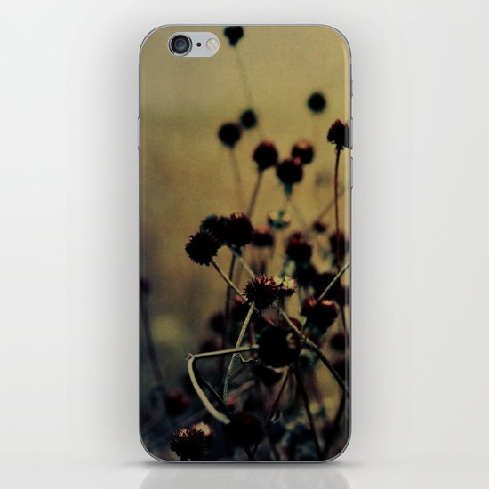Enchanted iPhone & iPod Skin