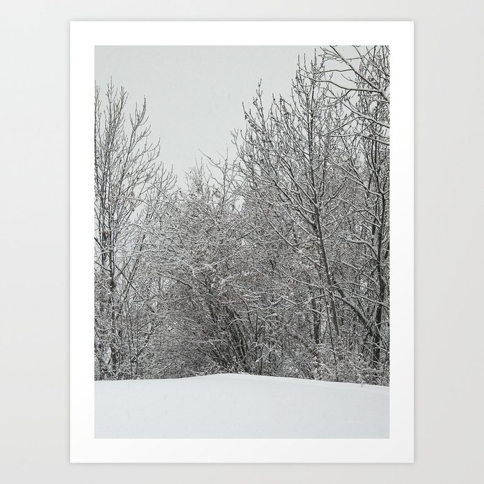 Trees, snowy scene Art Print