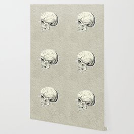 Old School Human Skull with Bones Names. Wallpaper