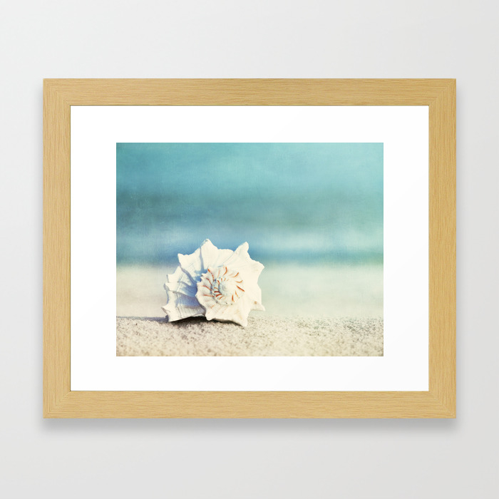 Seashell On Beach Photography Aqua Blue Shell Coastal Photo Teal