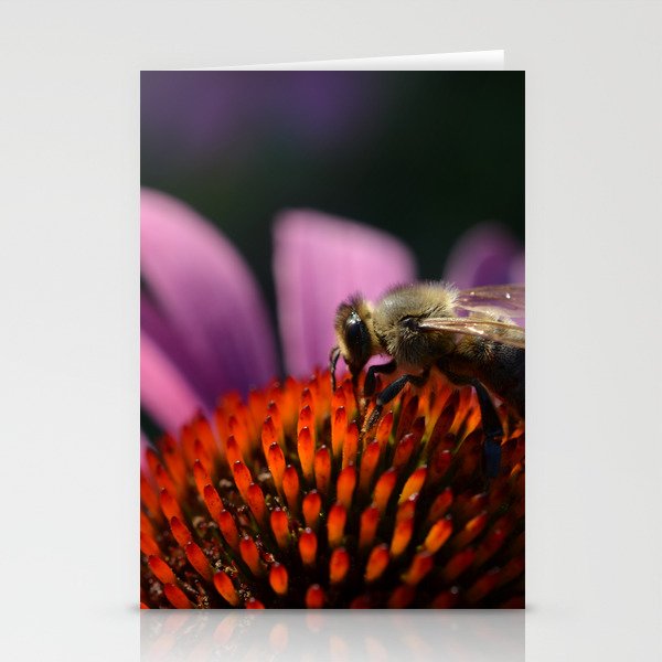 Honey bee on purple cone flower Stationery Cards