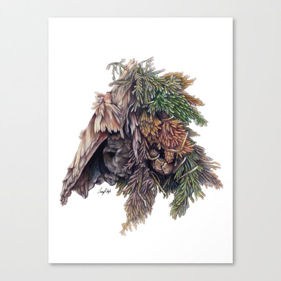 Colors of the Cypress Canvas Print