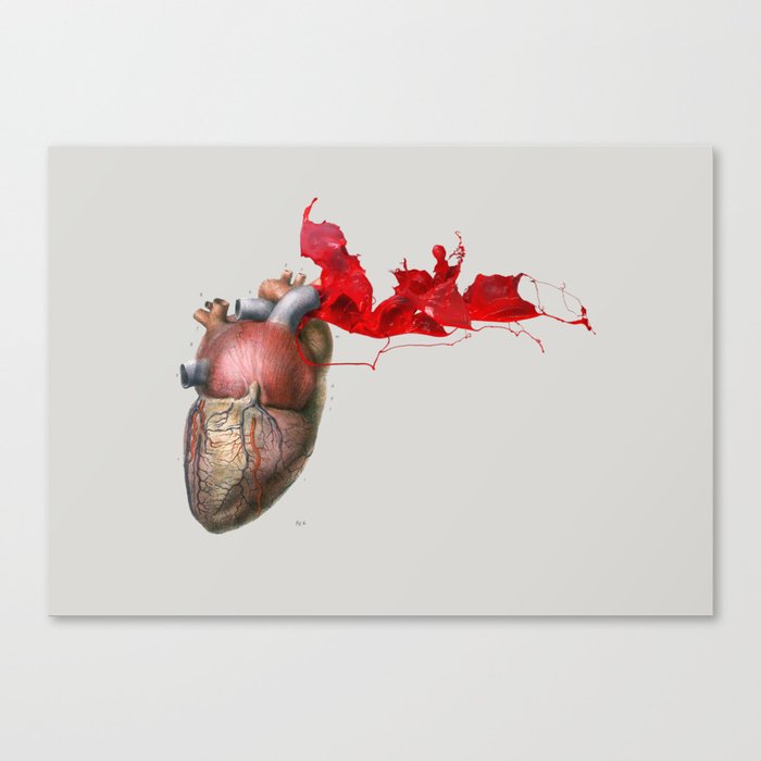 Broken Heart - Fig. 4 Canvas Print