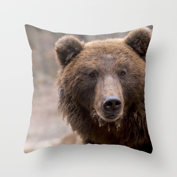 Beautiful Brown Bear Throw Pillow