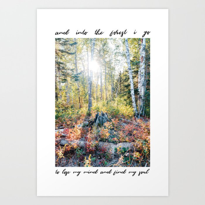 john Muir-And Into The Forest I Go To Lose My Mind And Find My Soul | Travel Photography MN #4 Art Print