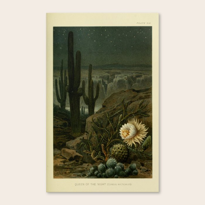 Canvas Print