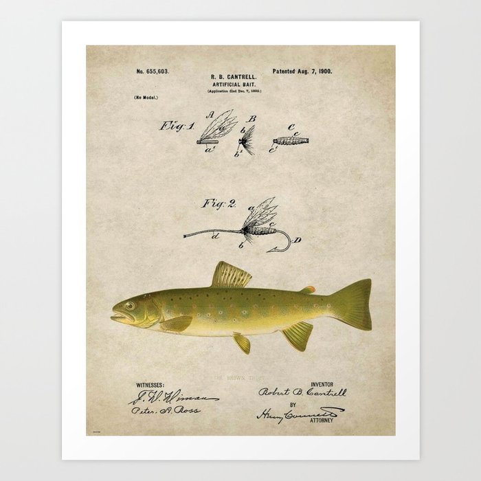 Vintage Brown Trout Fly Fishing Lure Patent Game Fish Identification Chart  Art Print by Atlantic Coast Arts and Paintings