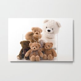 Teddy Bear 001 Metal Print | Color, Photo, Digital 
