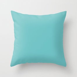 Mid-tone Aqua Blue Green Solid Color Pairs to Sherwin Williams Mariner SW 6766 Throw Pillow